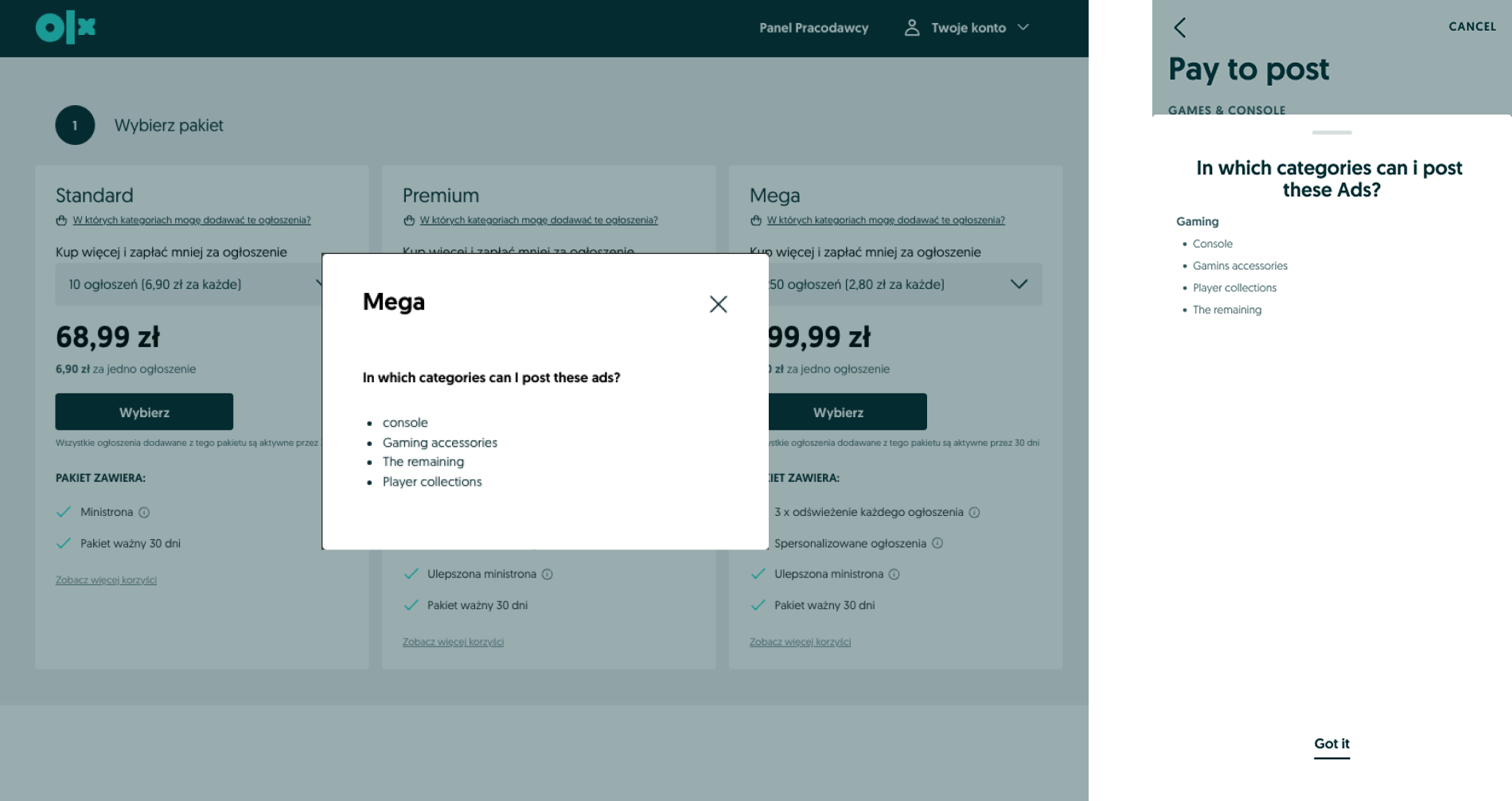 Audit — mega-package details: what's included in the package