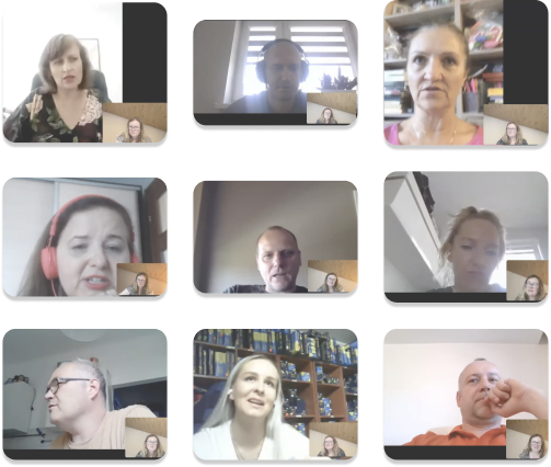 Grid of 12 remote interview participants across B2C and C2C Sellers