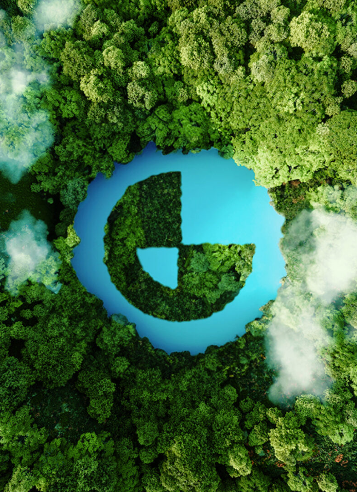 Aerial view of a forest with a lake shaped like the OLX logo